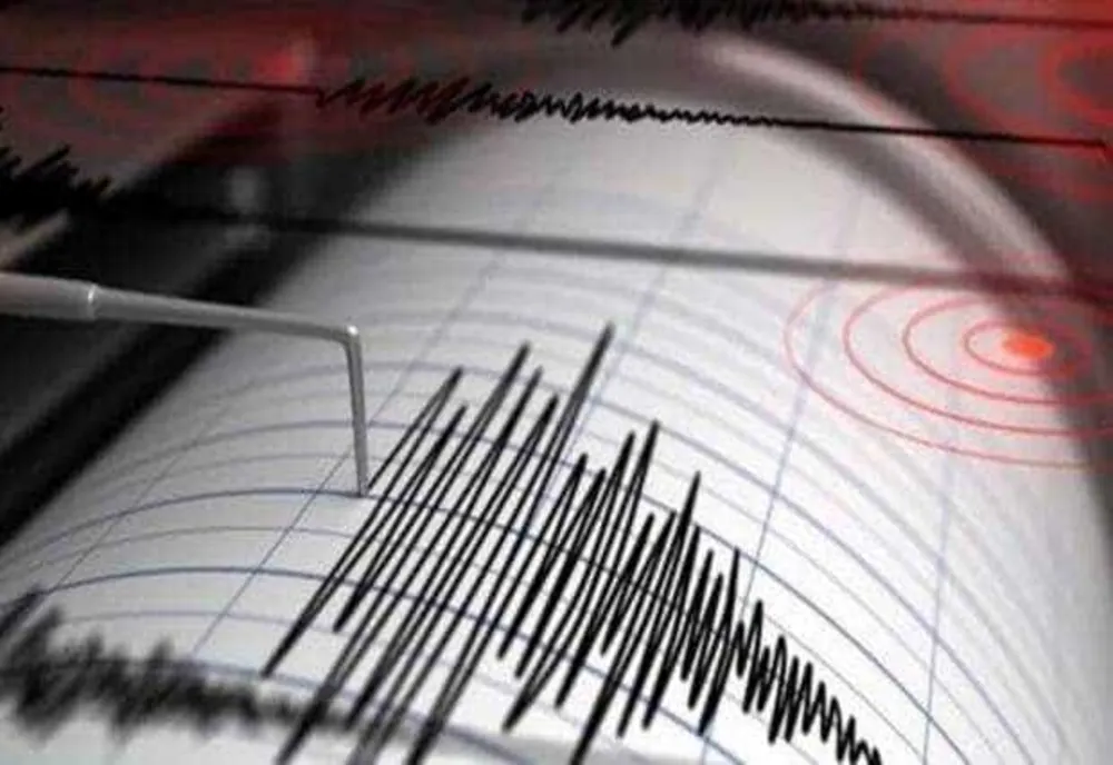 Două cutremure cu magnitudini de 3,8 şi 3,3 grade, de Ziua Națională, în zona Vrancea