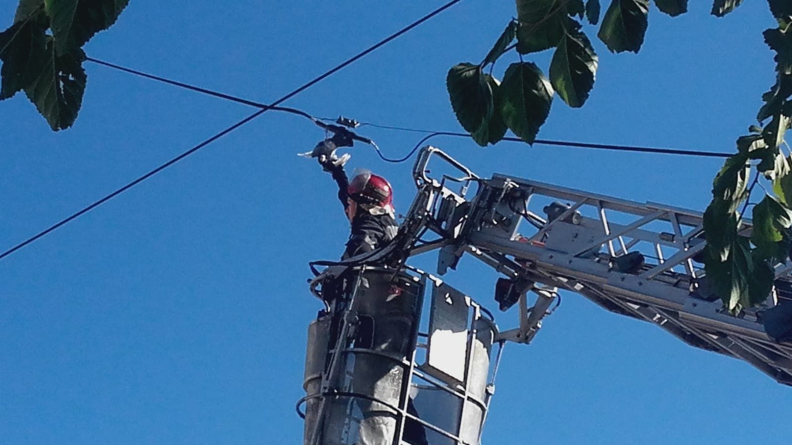 44118667_187582832141724_6113053920496451584_n