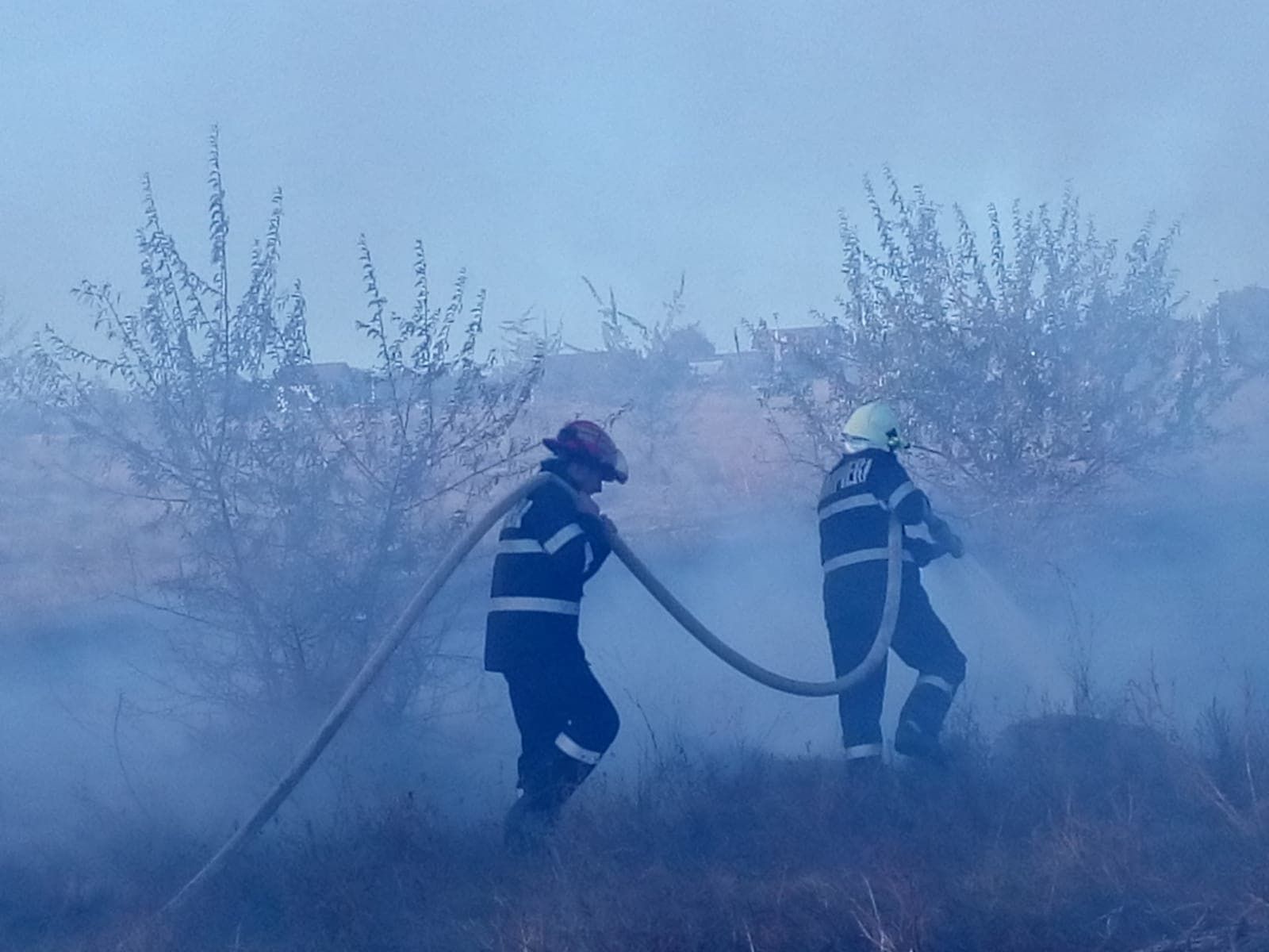 incendiu vegetatie (1)