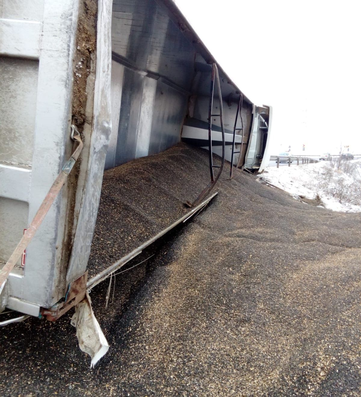 48403657_377689006337677_2630420890432569344_n