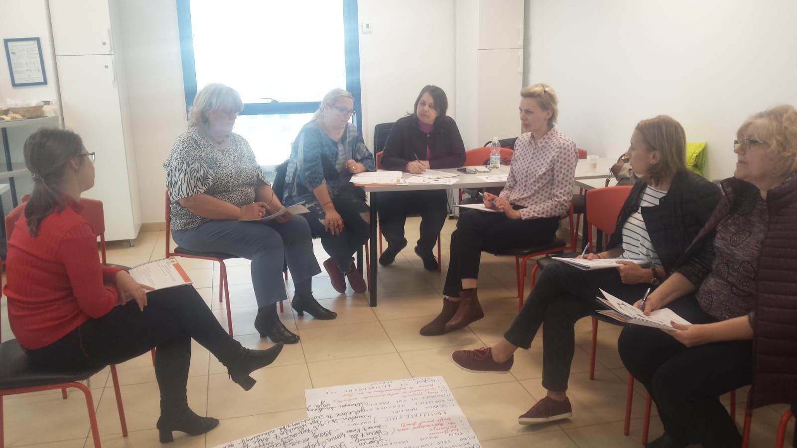 profesori CEAR Vaslui