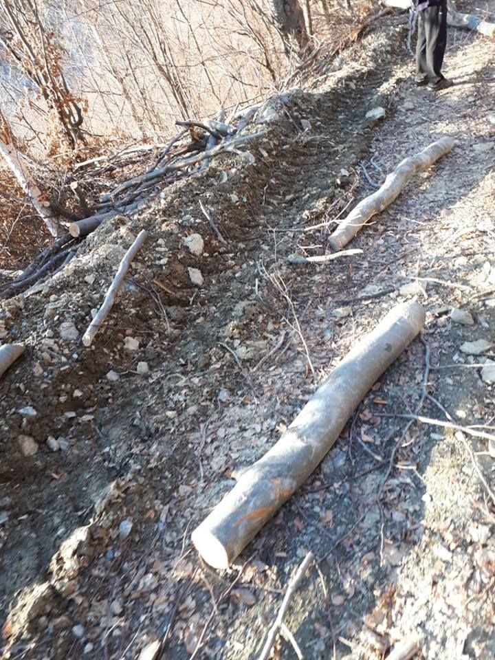 Aurel Ionescu Moțet - Bârlad