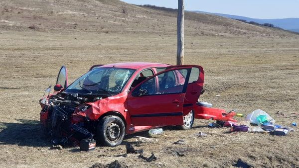 52956956_375496696626474_2420599871028330496_n