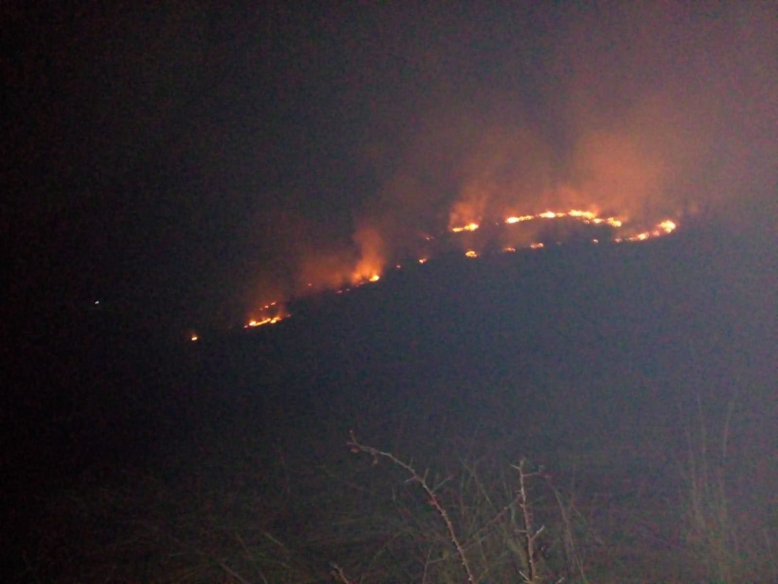 53219000_2337455046288178_1946589980113502208_n