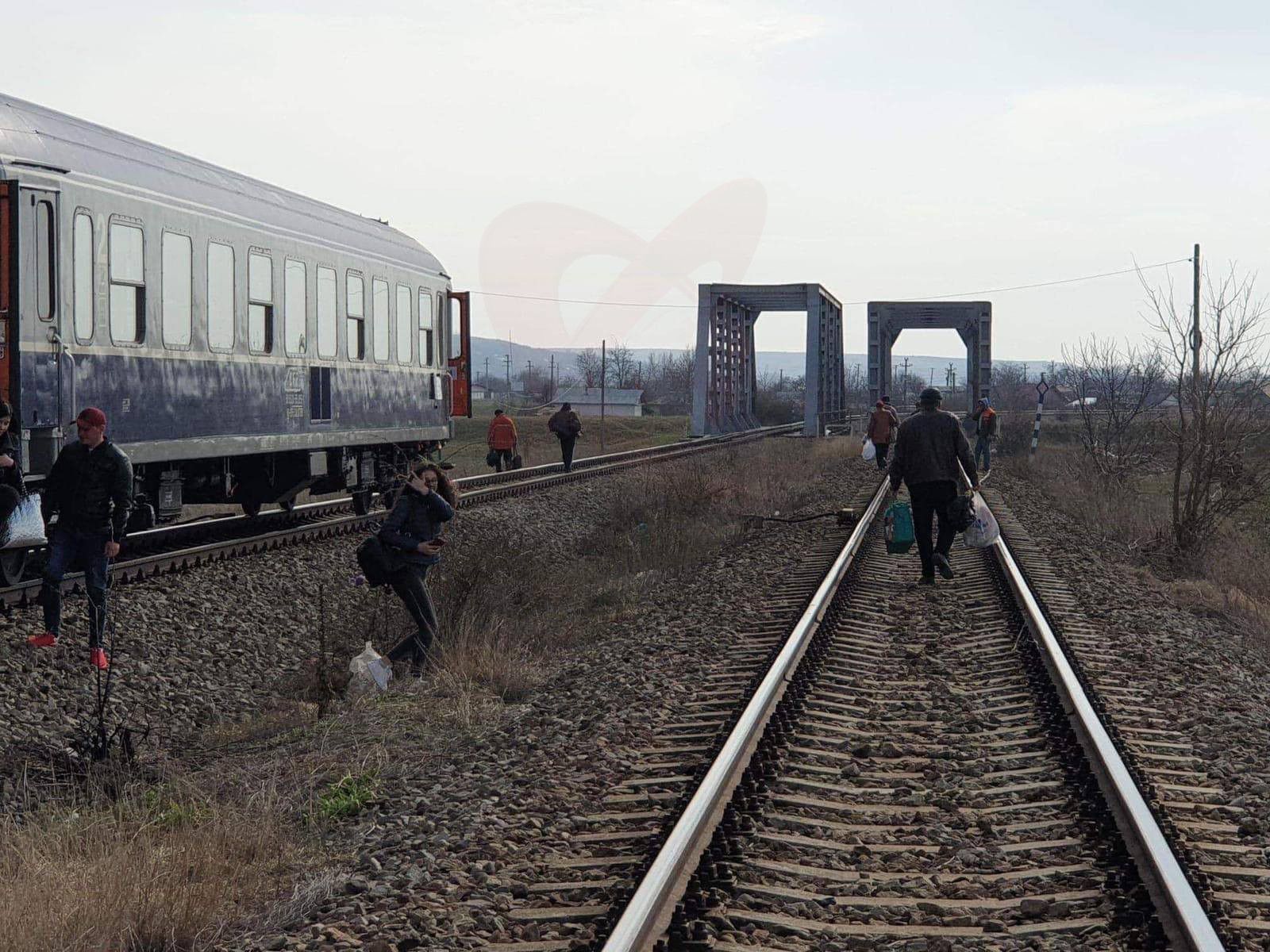 55443481_2176264945772184_6082144166148571136_n