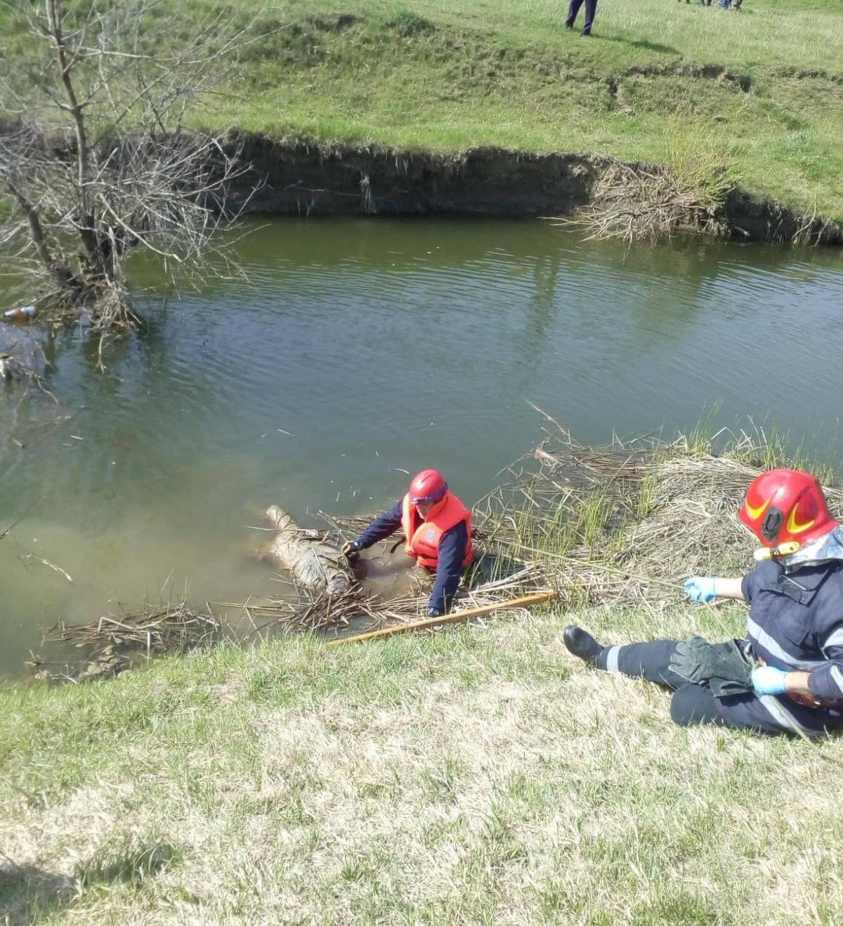 58652589_320834068590160_1737825028742840320_n