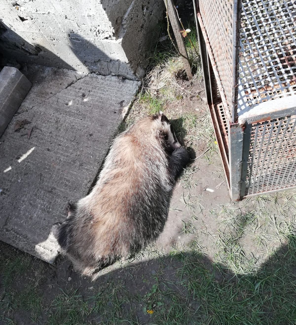 WhatsApp Image 2019-04-22 at 11.03.33 (2)