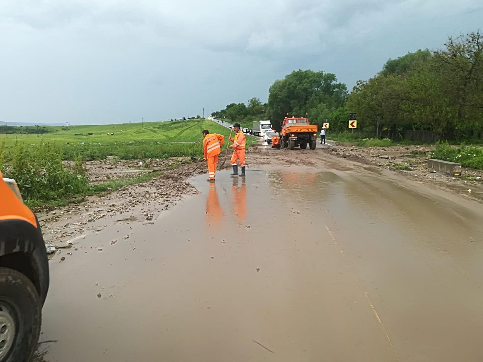 61041762_291646518379311_395787433964208128_n