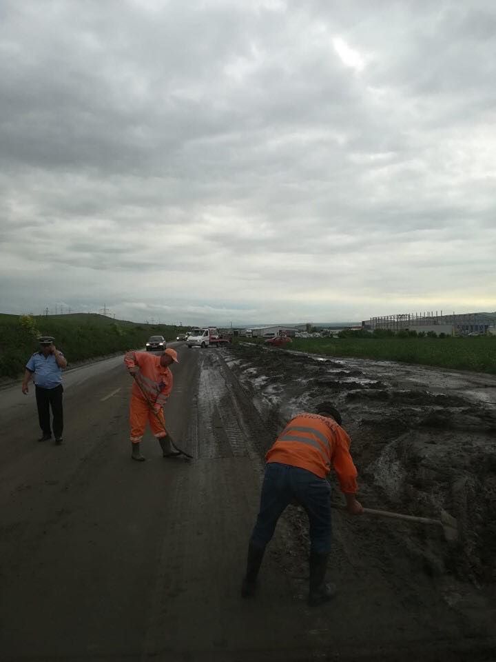 61663270_347462639288229_7404546368745766912_n