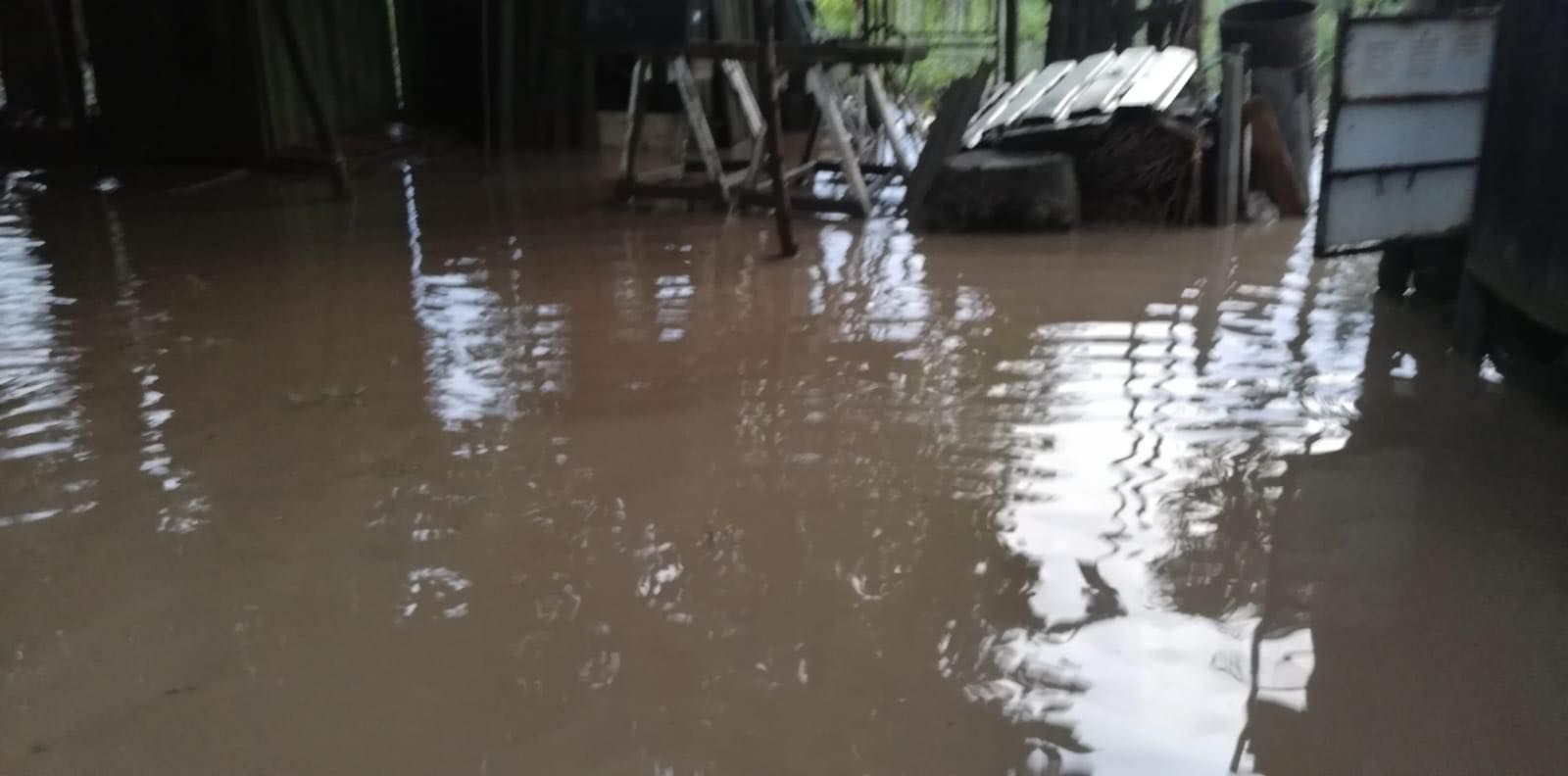 62307563_565817073824624_1089135661098729472_n