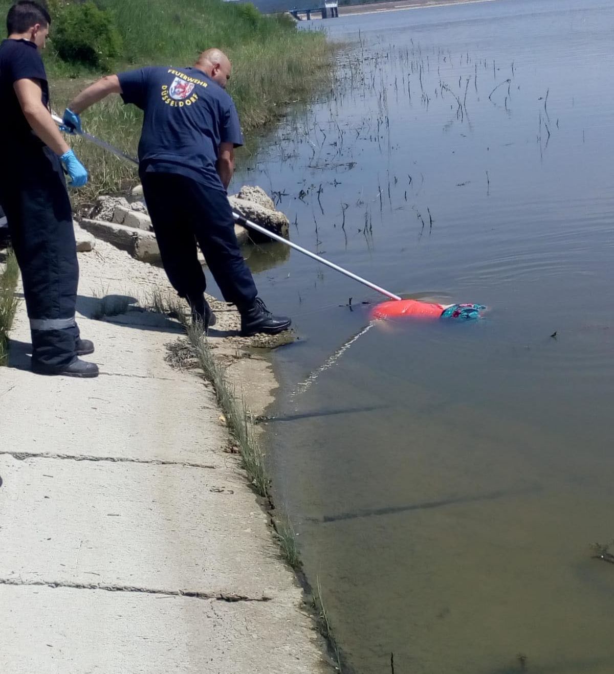 64238364_404886506906491_6136084995426484224_n