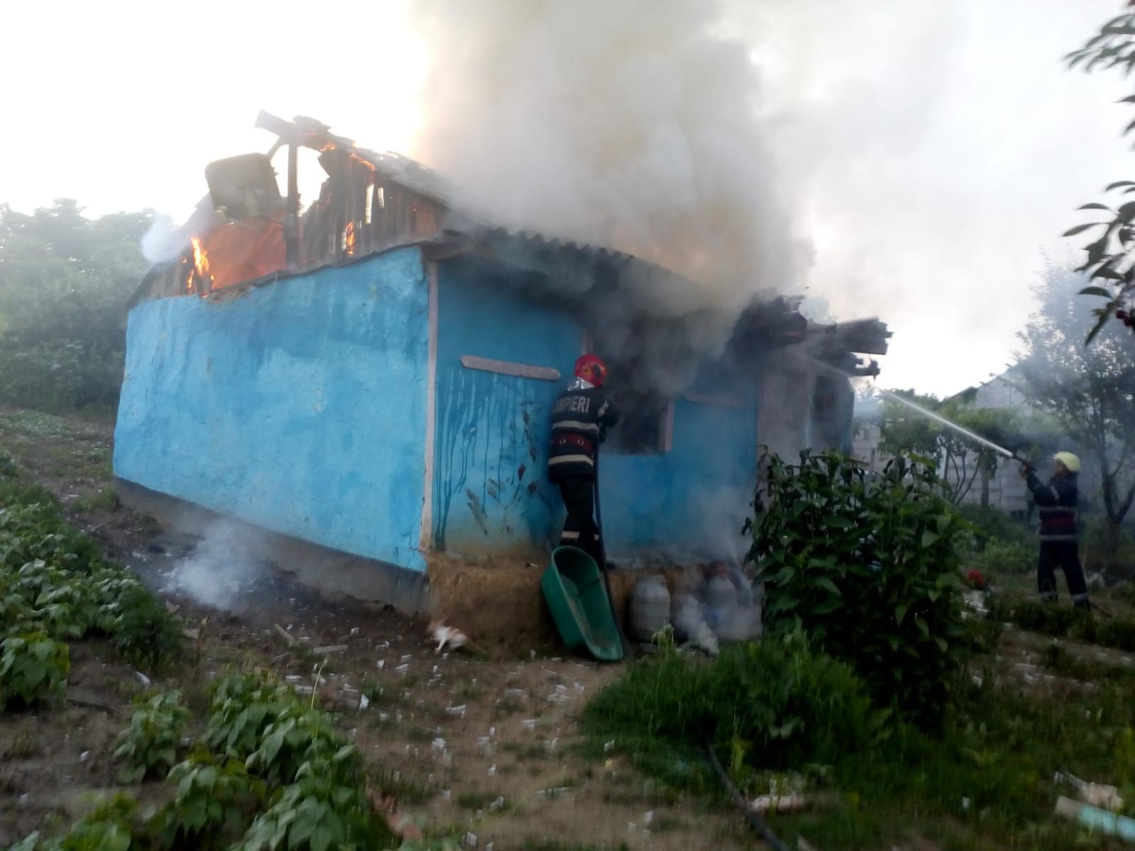 WhatsApp Image 2019-06-21 at 21.54.51