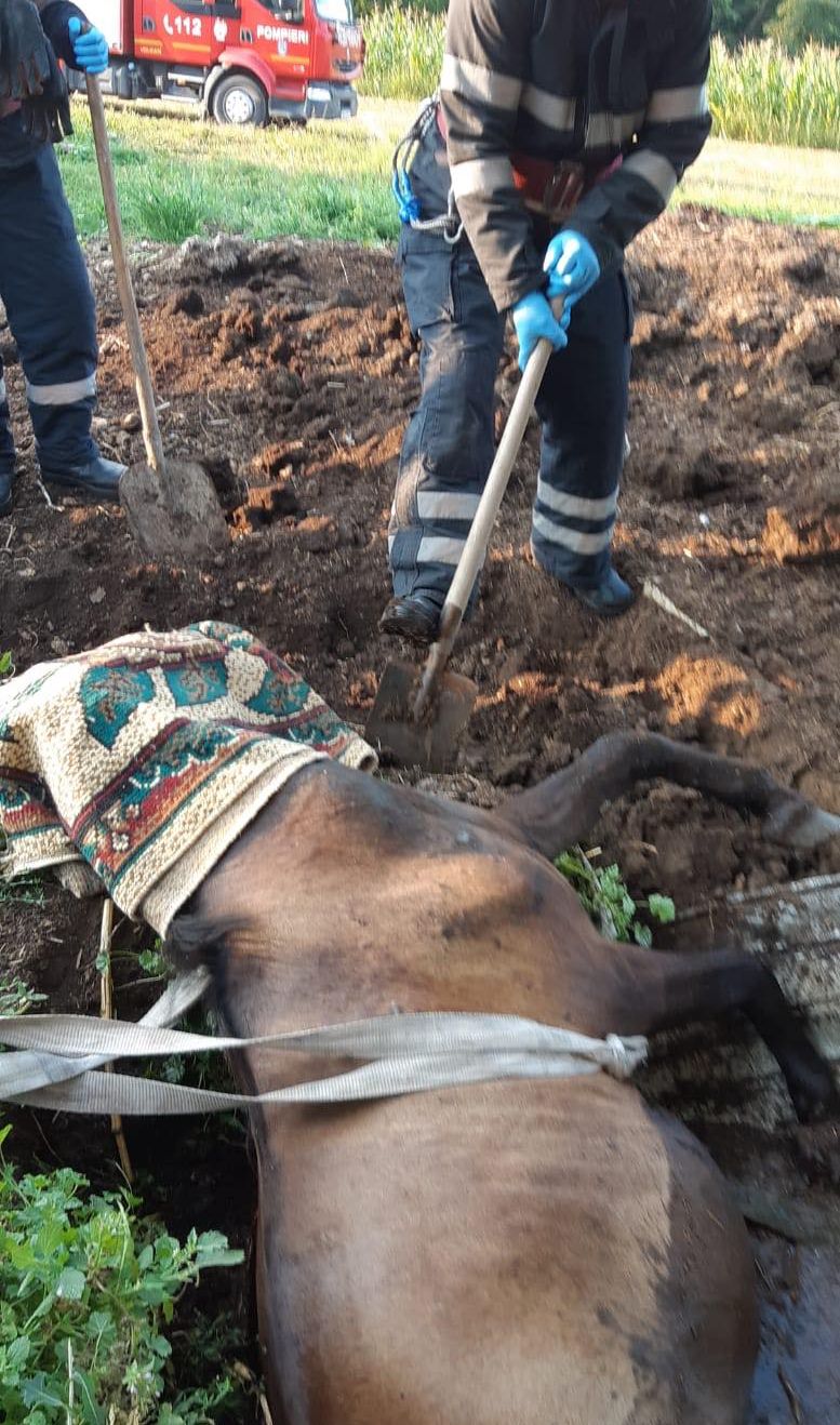 67329221_625320937959663_2563107749198036992_n