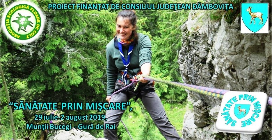 impins pe șine vaslui