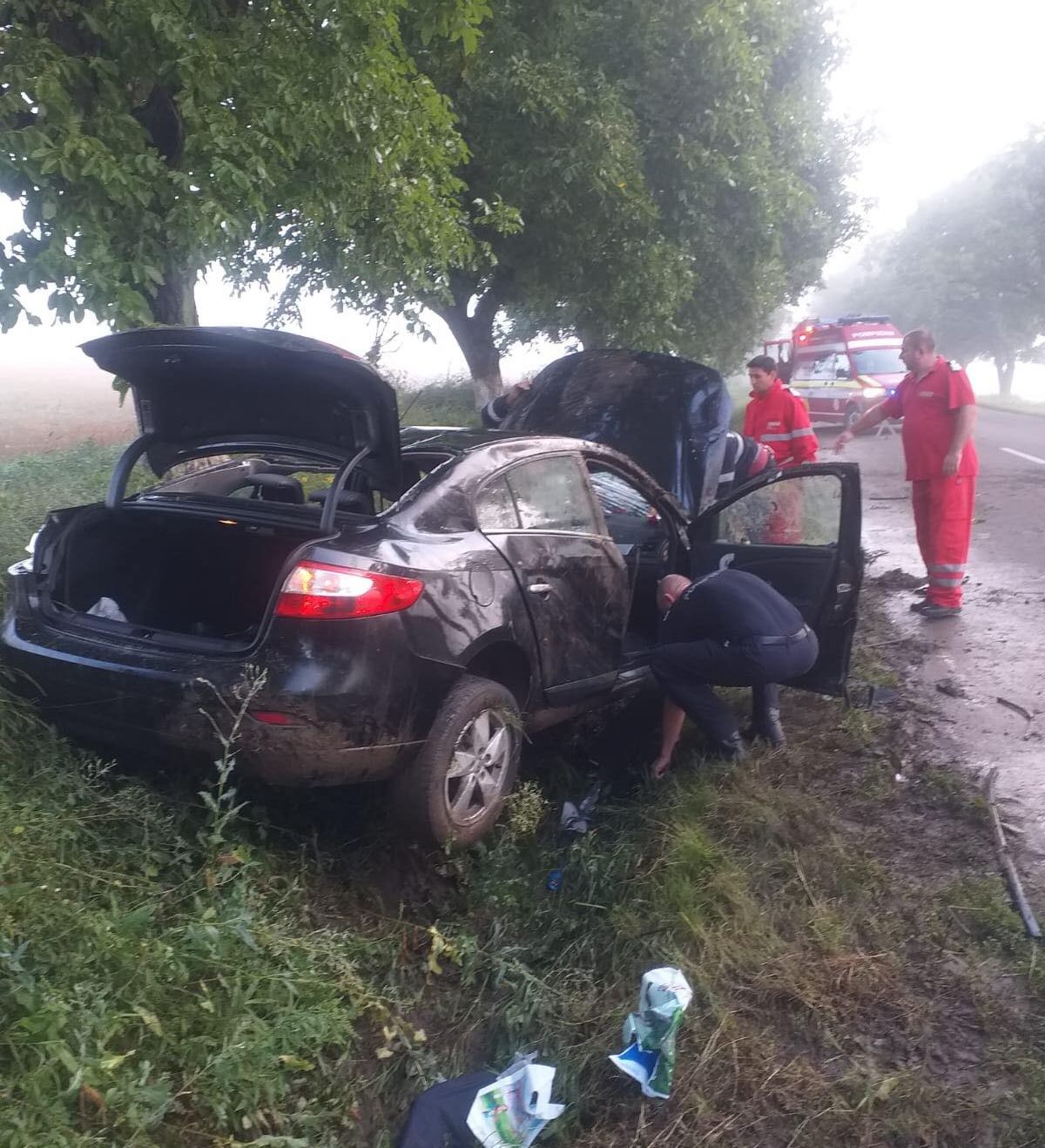 67916575_380236942676075_125131540001718272_n