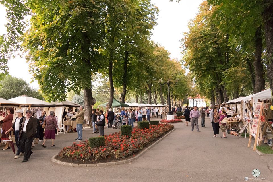 41377036_565845280500986_249156872521646080_n