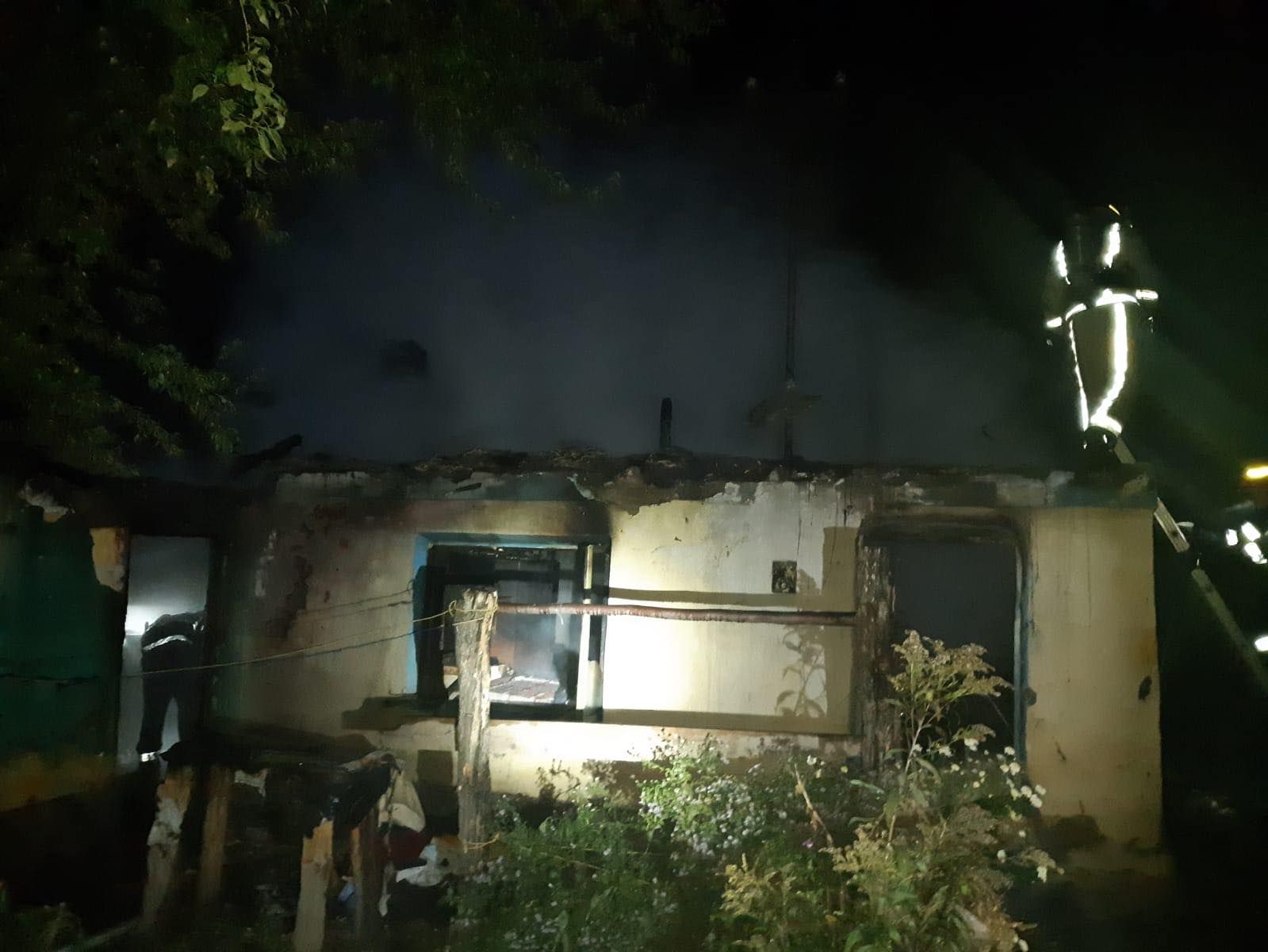 74434028_447498182552660_5046839447589486592_n