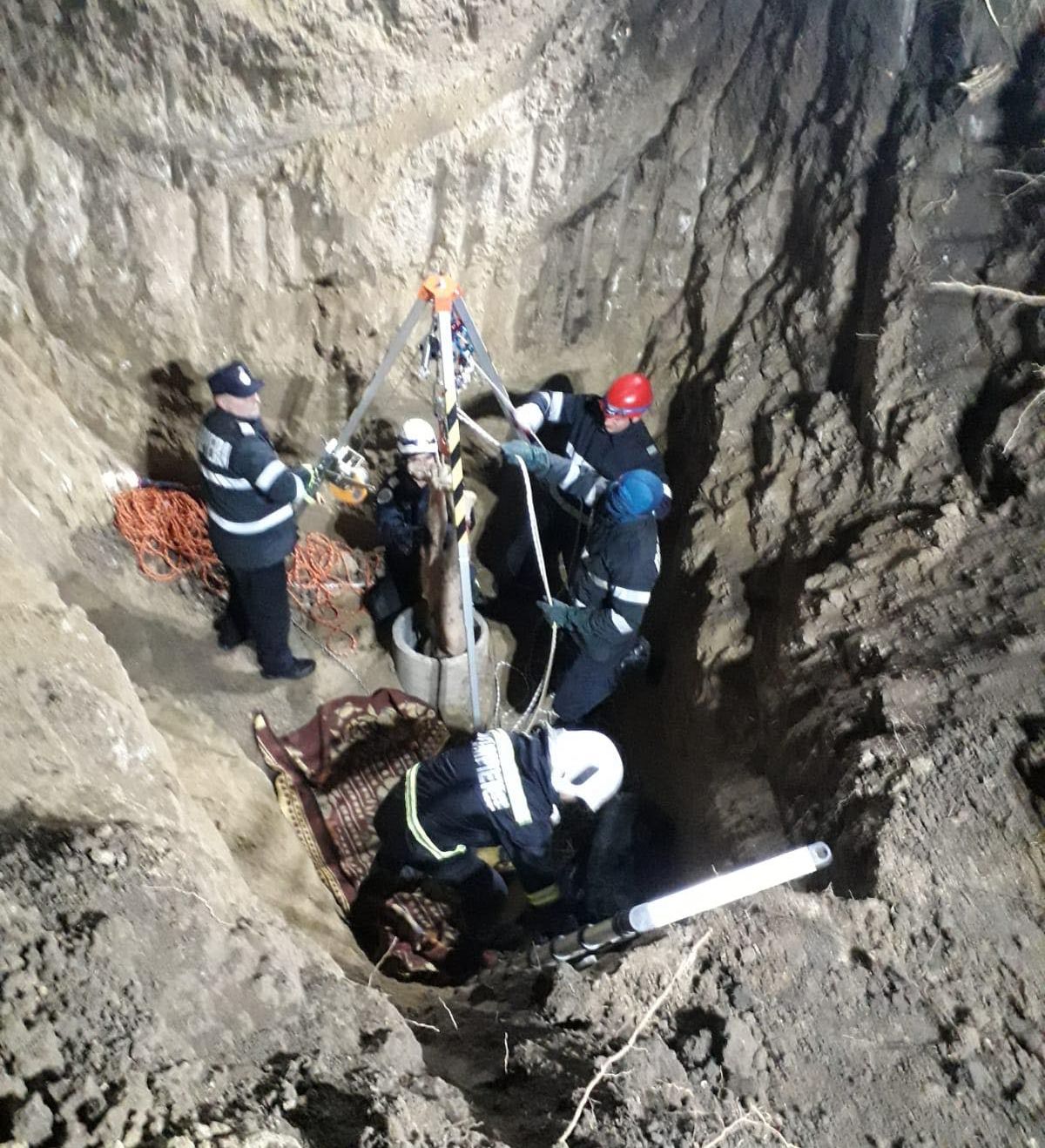 74583230_1363087923815479_982135398551519232_n