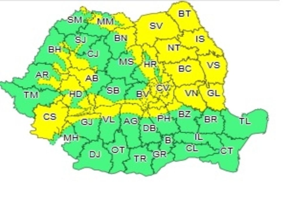 Atenționare meteo COD GALBEN. Județul Vaslui intră sub avertizare de ninsori și vânt!