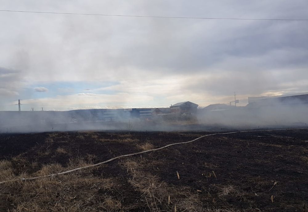 Incendiu de vegetație la intrare în Bârlad. Traficul rutier a fost afectat pe DE 581 - FOTO&VIDEO
