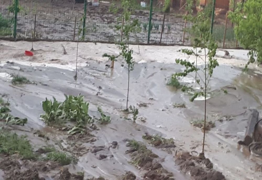 Zone inundate de viituri în urma ploilor în Zorleni și Popeni - VIDEO