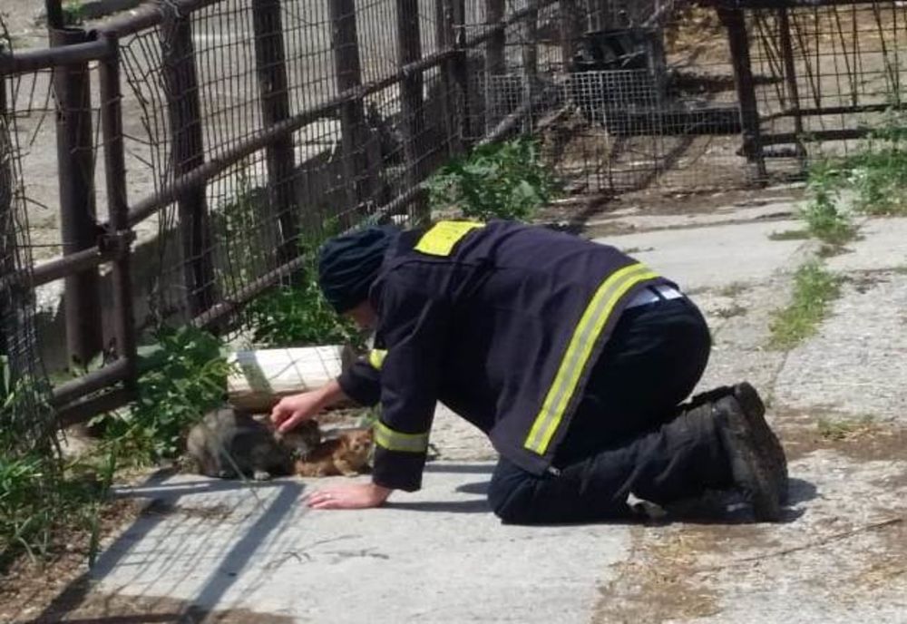 Misiunea eroilor este să salveze orice viață. Numele salvatorilor de astăzi: Pavel Silian și Tiberiu Bucur