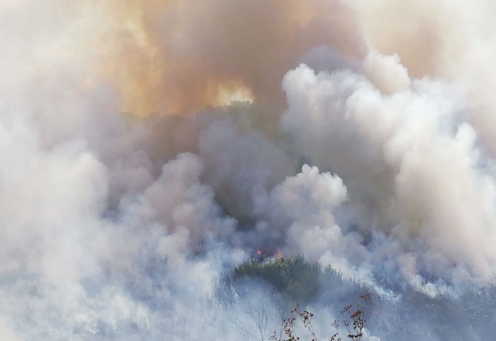 Incendiu puternic în Vaslui! Flăcările s-au întins pe mai multe hectare (FOTO/VIDEO)