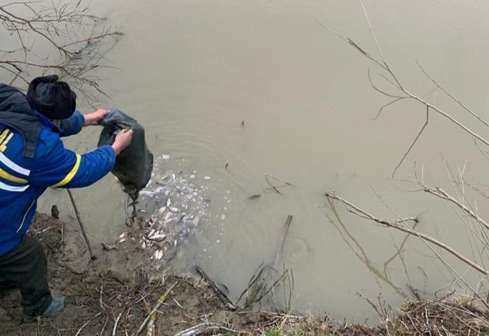 Prins cu peștele în sac