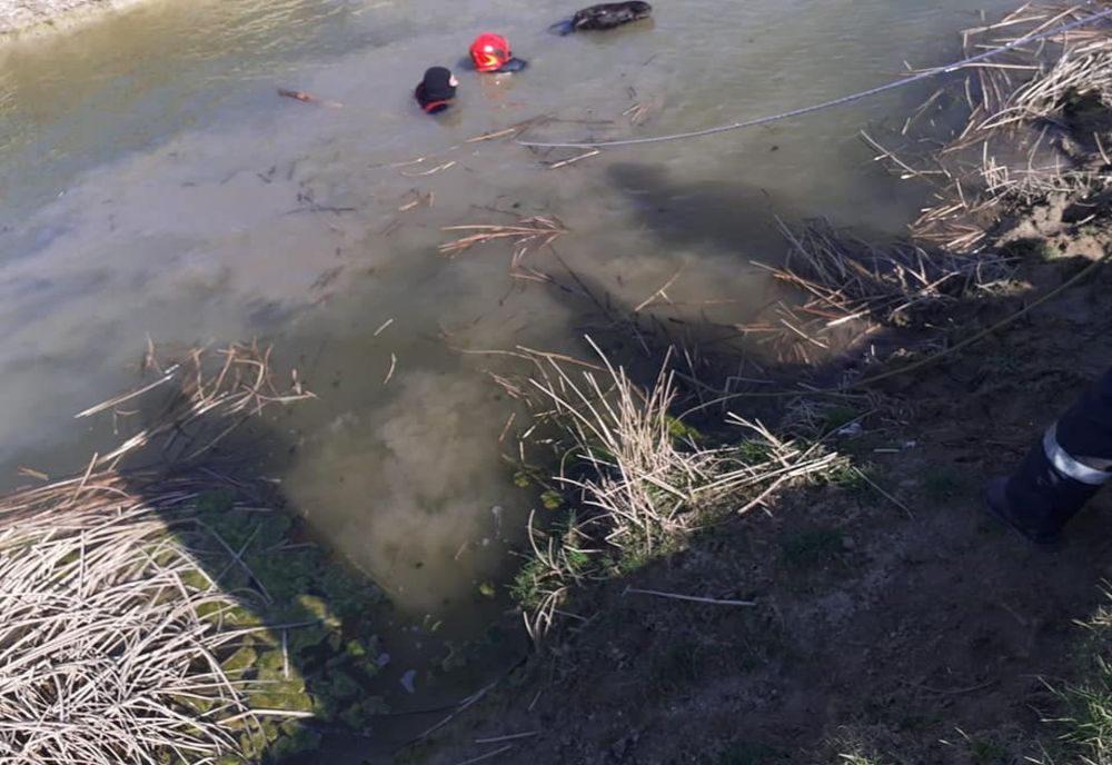 Cal, salvat de la înec de pompierii vasluieni