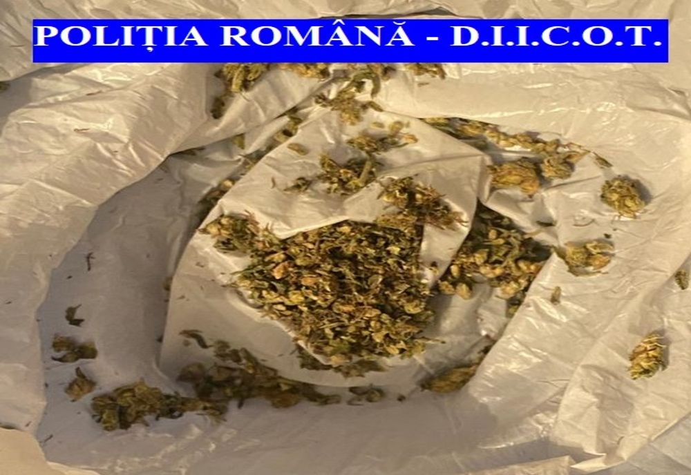 Traficanți de droguri din Iași luați în vizor de DIICOT Vaslui
