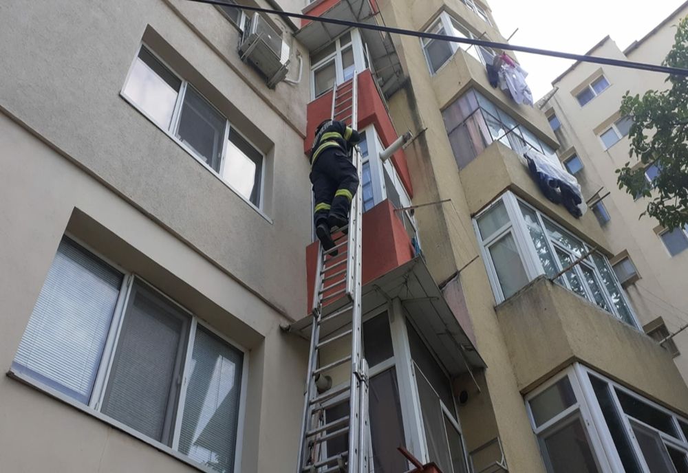 Pui de pisică salvat de pompierii bârlădeni 