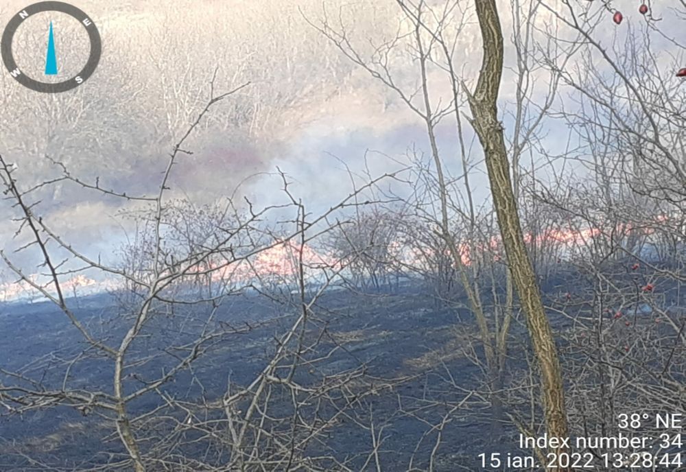 Incendiu de vegetație uscată la Fântânele
