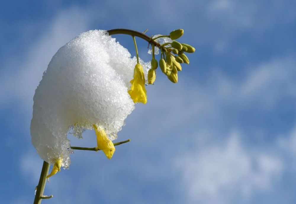 Prognoza meteo 26 ianuarie. Vremea, în ușoară încălzire. 