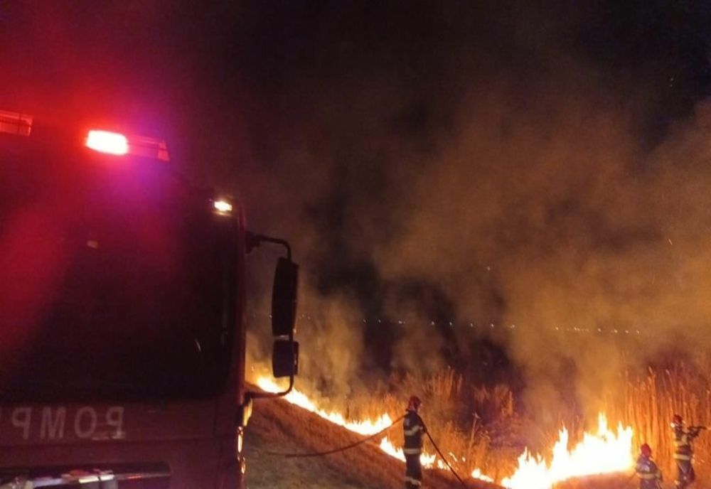 Incendiu de vegetație la ieșirea din Stănilești