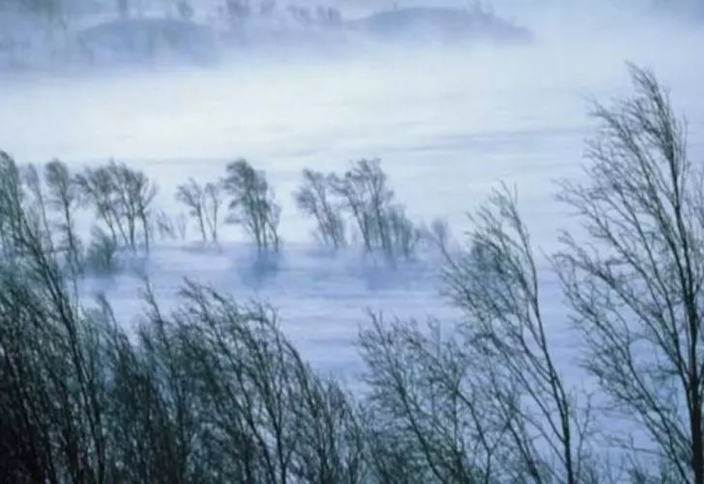 Meteo: Ninsori moderate cantitativ şi strat nou de zăpadă, începând de miercuri