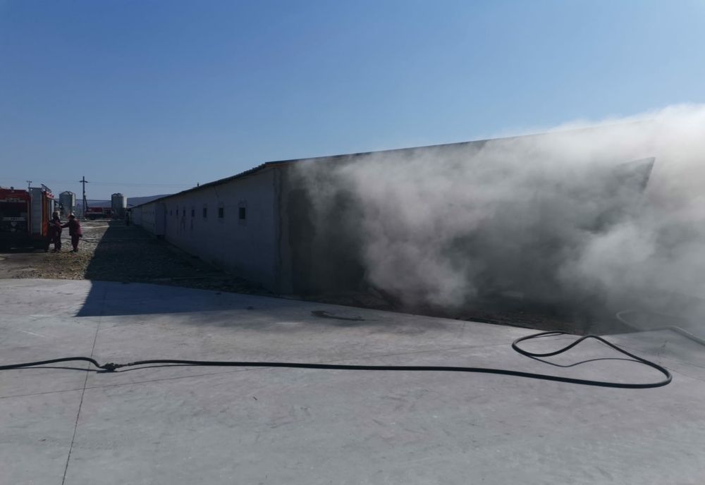 Incendiu la o hală aparținând unei ferme avicole