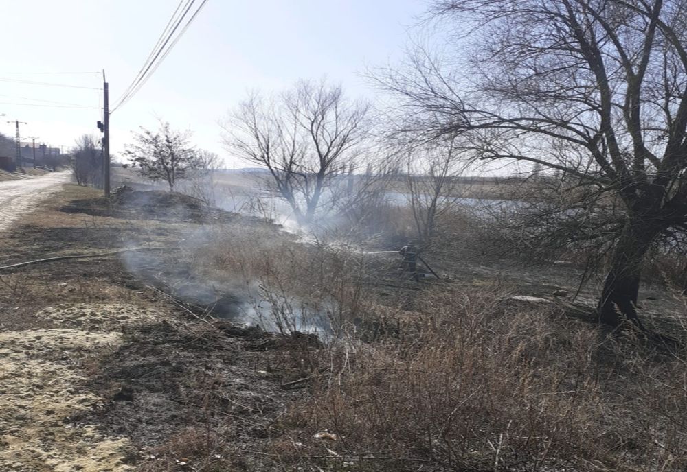 700 de lei amendă pentru un vasluian care a provocat un incendiu de vegetație