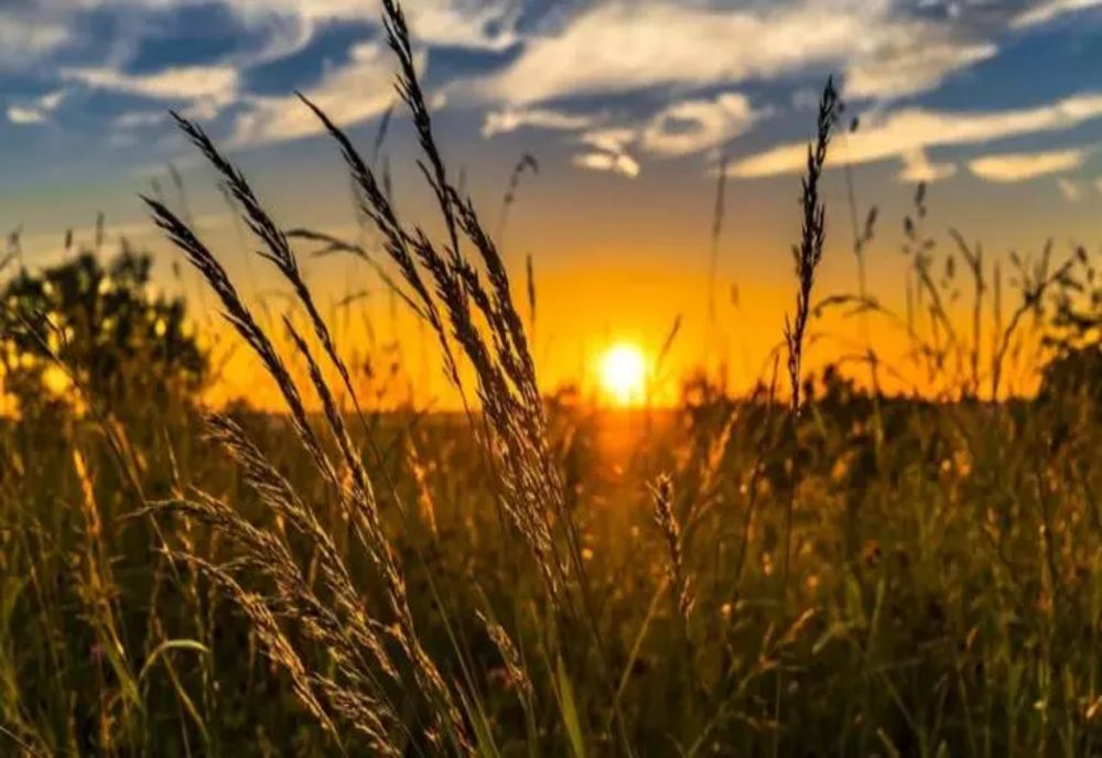 Val de AER TROPICAL peste România. Unde se anunţă furtuni violente