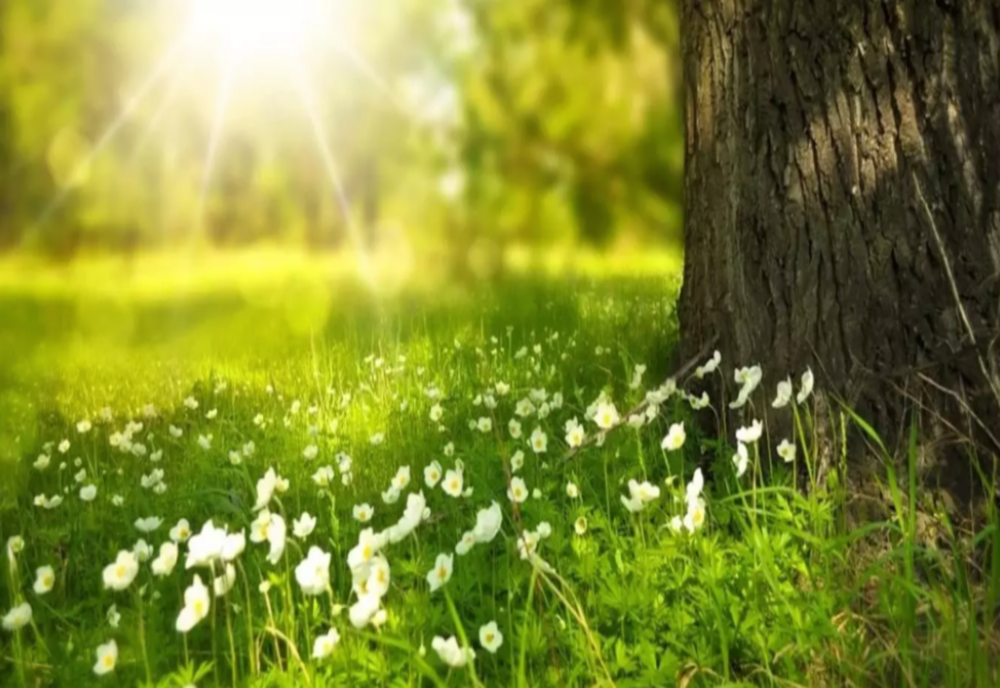 Vreme predominant frumoasă în majoritatea regiunilor