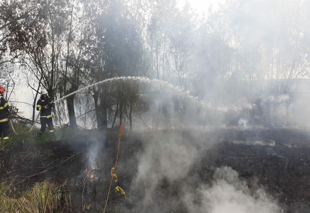 Incendiu de vegetație în municipiul Vaslui