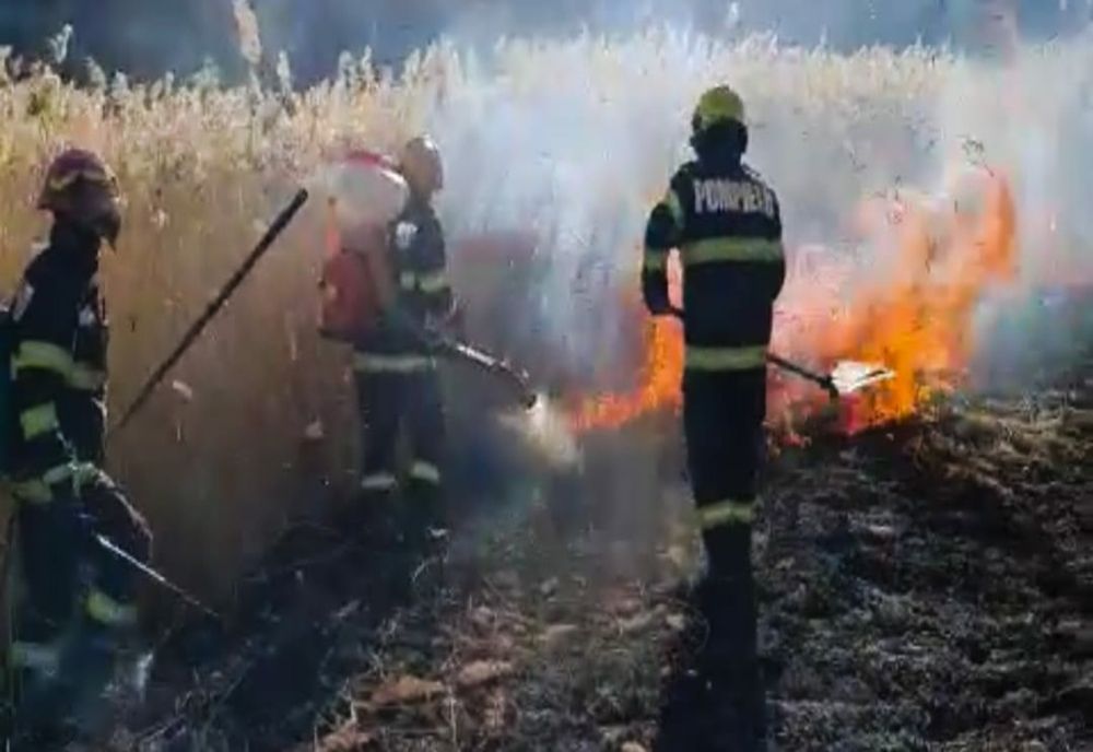 Incendiu de vegetație uscată în zona Sohodău din Bârlad. Risc de propagare și la o zonă împădurită