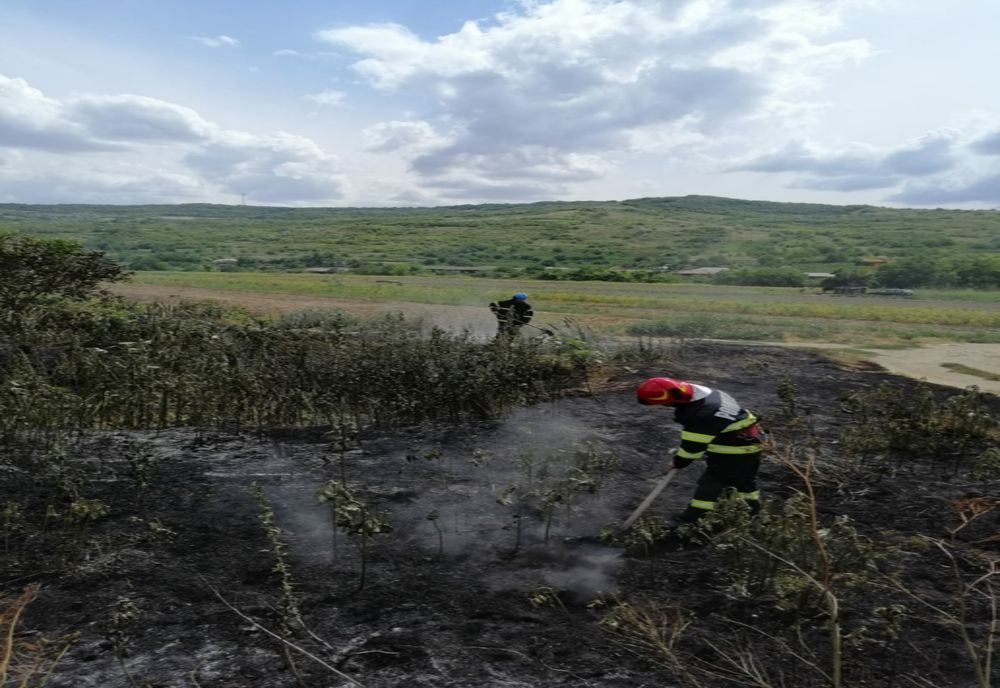 Incendiu de vegetație în Huși, în zona Cimitirului Evreiesc