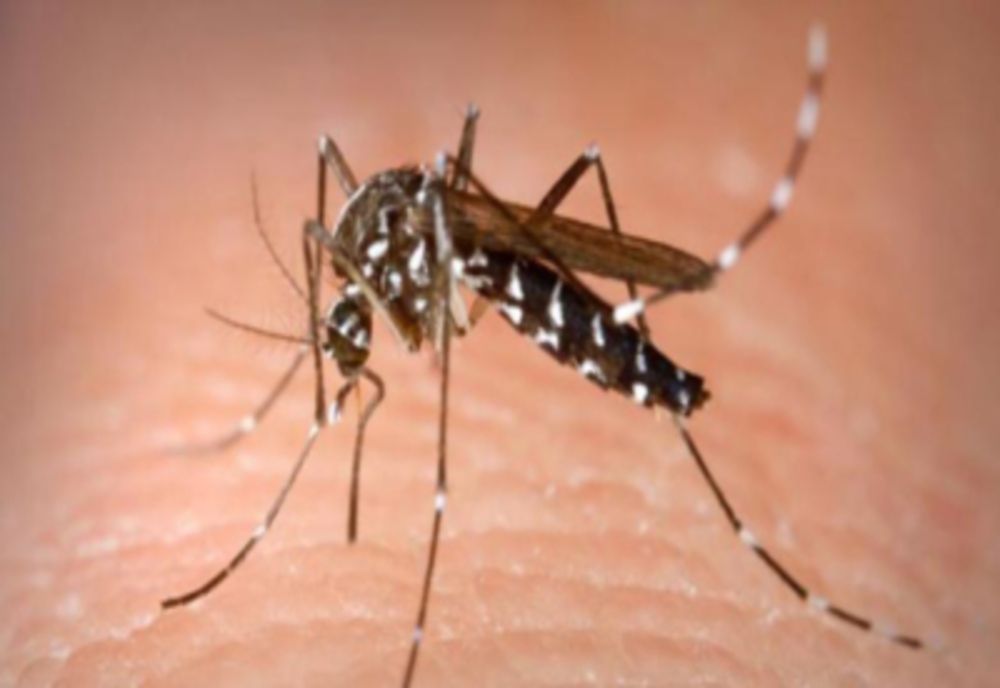 Virusul West-Nile, tot mai prezent în Europa! Aproape 200 de persoane infectate, dintre care două în România