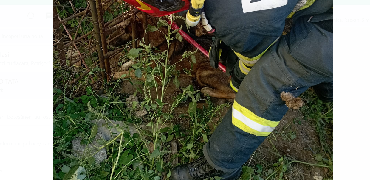 Screenshot 2022-10-05 at 18-58-53 WhatsApp