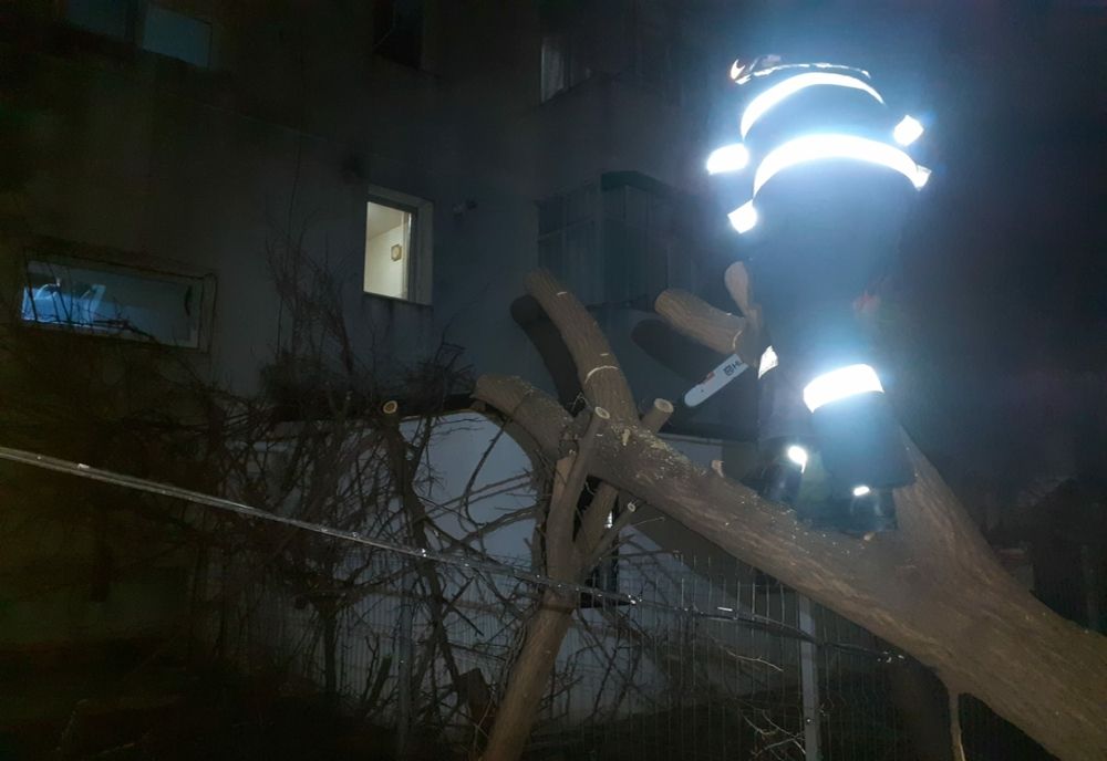 Copac căzut în apropierea unei clădiri din municipiul Bârlad. A fost nevoie de intervenția pompierilor