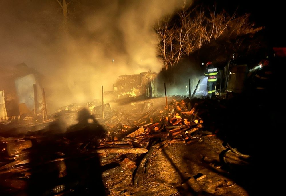 Nouă porci au pierit într-un incendiu izbucnit la un adăpost de animale