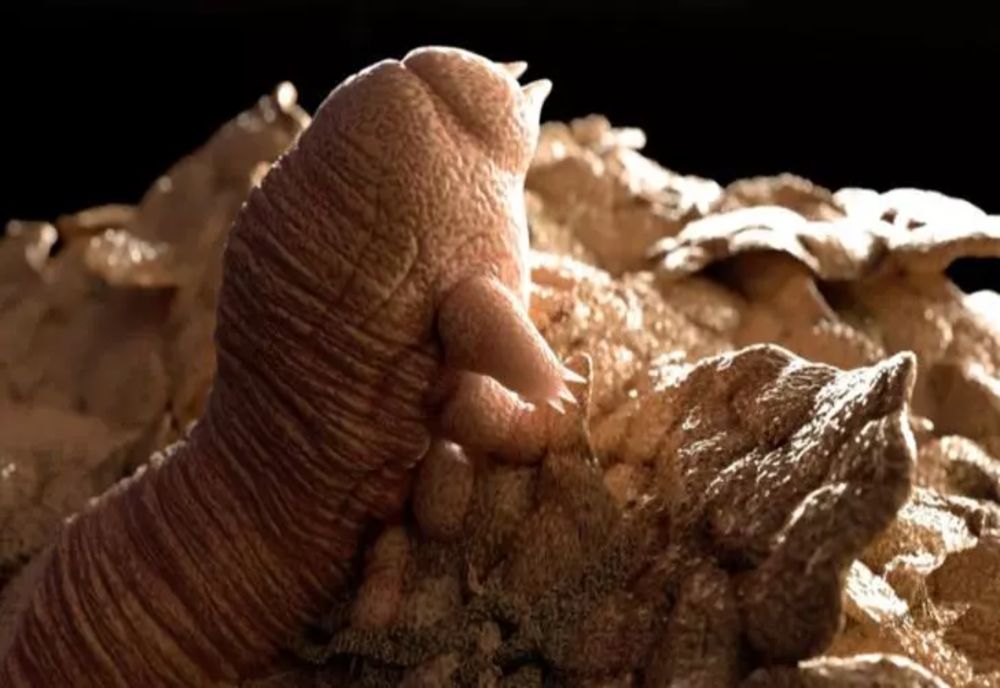 Monștrii din fața noastră. Stau ascunși sub piele și ne pot intra în ochii - FOTO