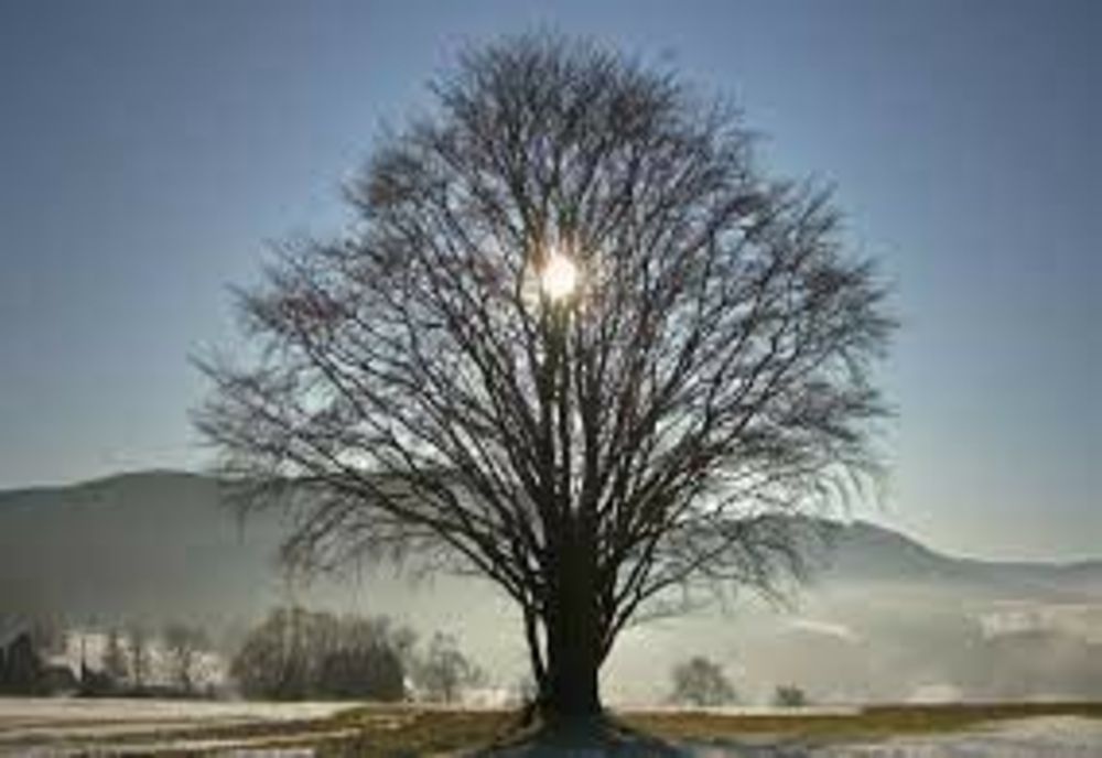 Prognoza meteo pe o lună: temperaturi anormale, aer tropical. Cum va fi vremea până pe 23 ianuarie