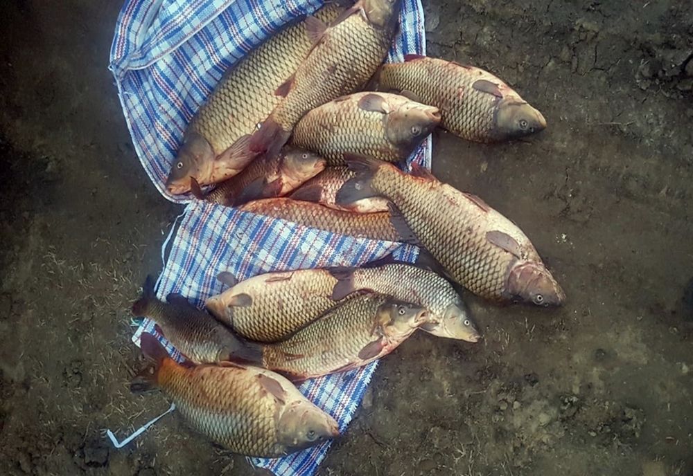 Braconieri vasluieni descoperiți de polițiștii de frontieră