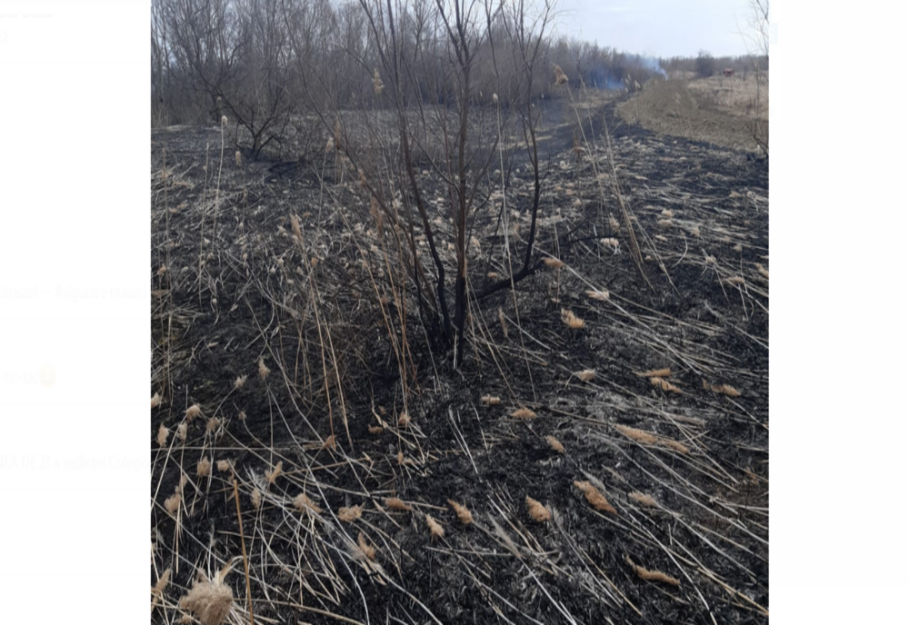 Peste 60 hectare vegetație uscată și stuf au ars în zona Blăgești - Murgeni - Rânzești 